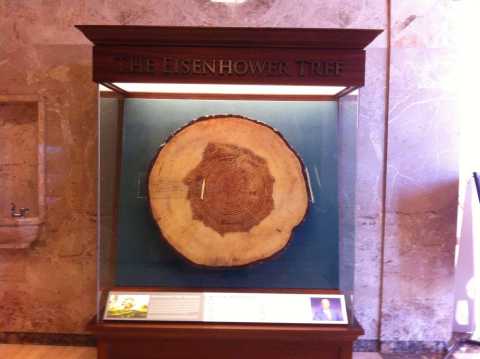 The Eisenhower Tree
