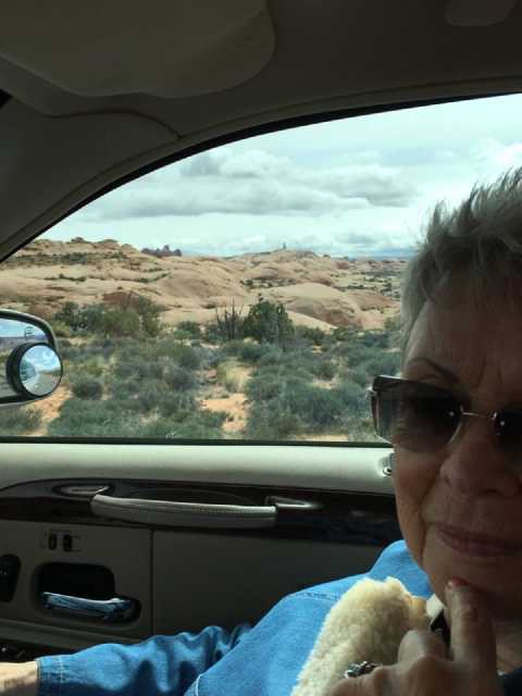 Our Navigator...