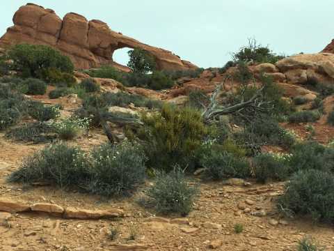 How many arches can you see?