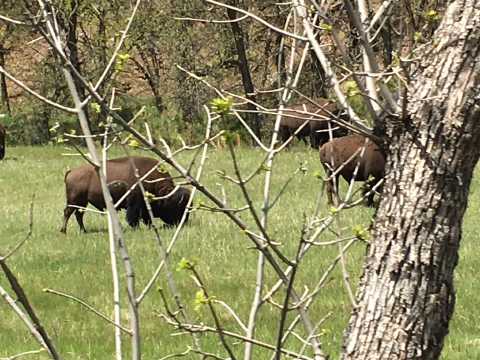 South Dakota
