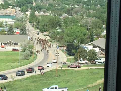 Horse Round Up